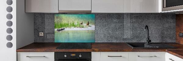 Platte für Küchenrückwand Enten am Wasser