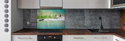 Platte für Küchenrückwand Enten am Wasser