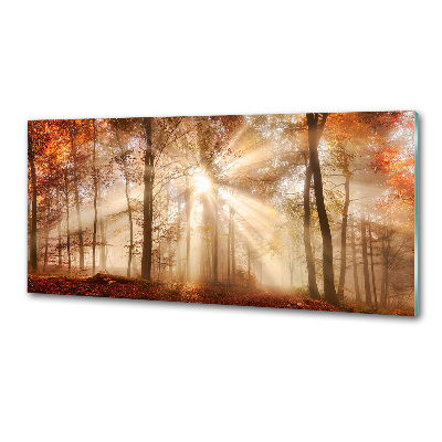 Küchen wandpaneel Nebel im Herbstwald