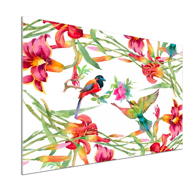 Glasrückwand für die küche Exotische Vögel