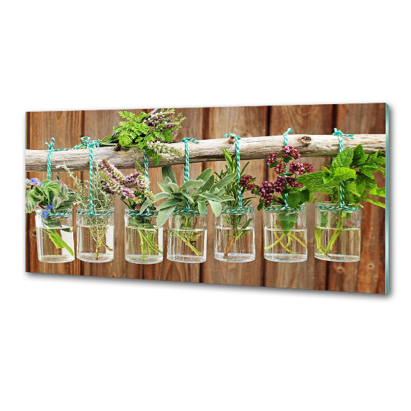 Küchen wandpaneel Kräuter im Glas