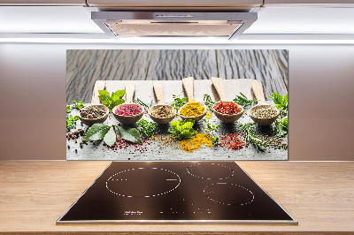 Küchen wandpaneel Bunte Gewürze