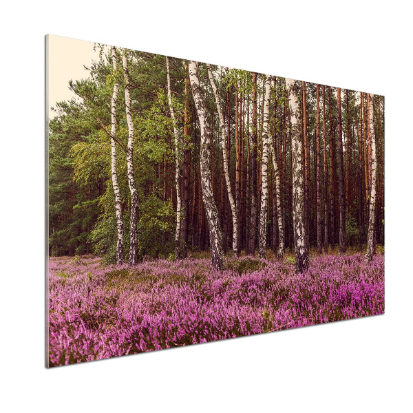 Küchen wandpaneel Moor