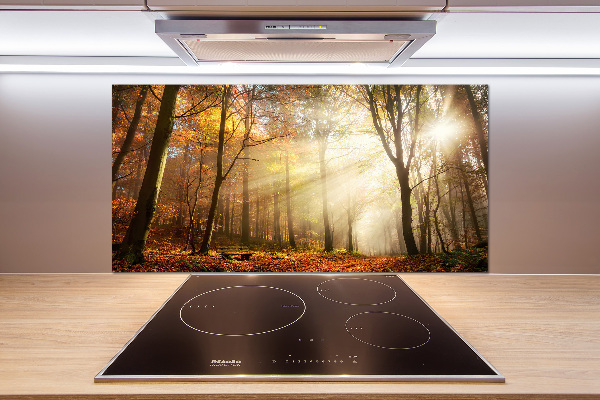 Glasrückwand für die küche Nebel im Wald