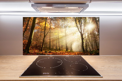 Glasrückwand für die küche Nebel im Wald