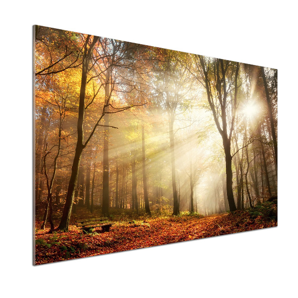 Glasrückwand für die küche Nebel im Wald