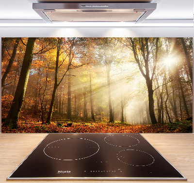 Glasrückwand für die küche Nebel im Wald