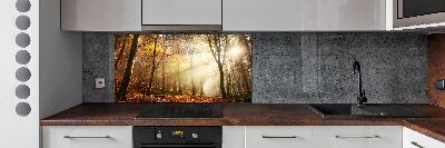 Glasrückwand für die küche Nebel im Wald