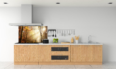 Glasrückwand für die küche Nebel im Wald