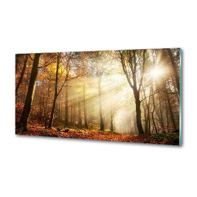 Glasrückwand für die küche Nebel im Wald