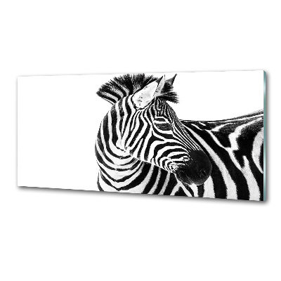 Küchen wandpaneel Zebra im Schnee