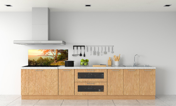 Glasrückwand für die küche Skandinavischer See