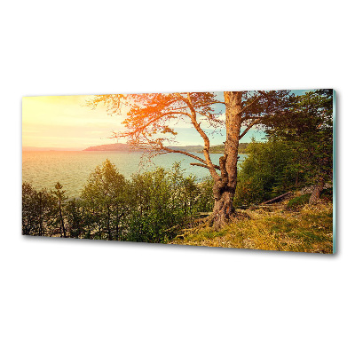 Glasrückwand für die küche Skandinavischer See