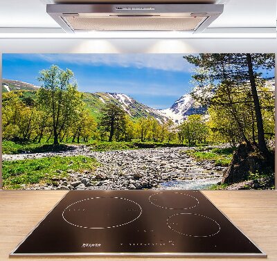 Platte für Küchenrückwand Ein Fluss in den Bergen