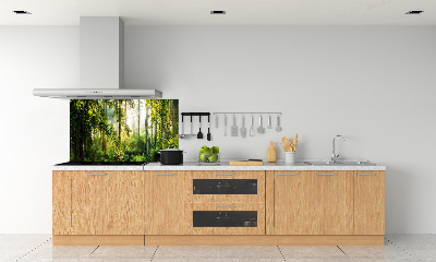 Küchen wandpaneel Morgensonne Wald