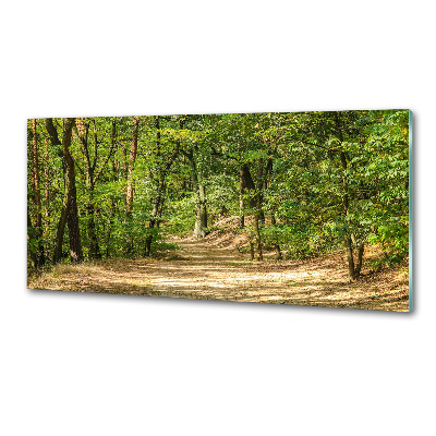 Glasrückwand für die küche Waldweg