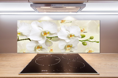 Platte für Küchenrückwand Orchidee