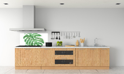 Glasrückwand für die küche Monstera