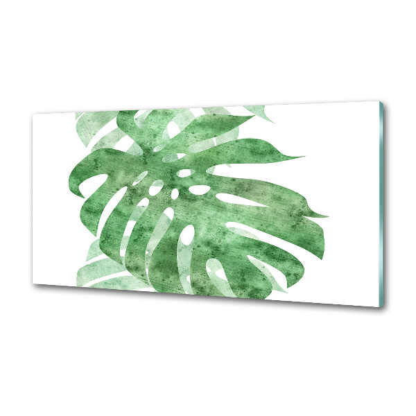 Glasrückwand für die küche Monstera