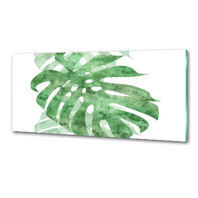 Glasrückwand für die küche Monstera