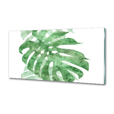 Glasrückwand für die küche Monstera