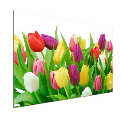 Glasrückwand für die küche Bunte Tulpen