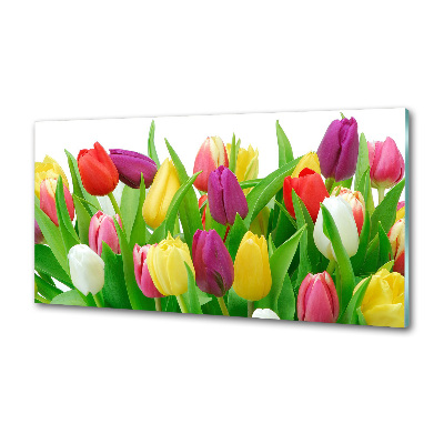 Glasrückwand für die küche Bunte Tulpen