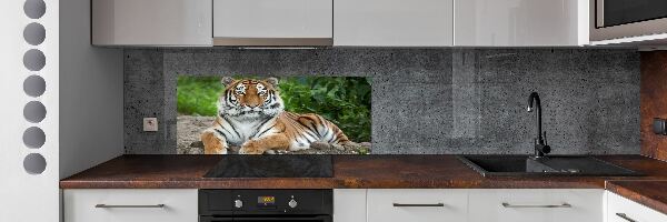 Platte für Küchenrückwand Sibirischer Tiger