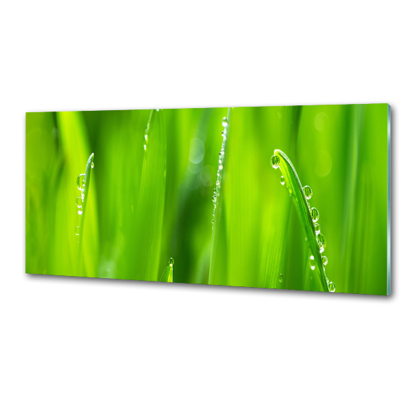 Platte für Küchenrückwand Junger Hafer