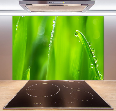 Platte für Küchenrückwand Junger Hafer