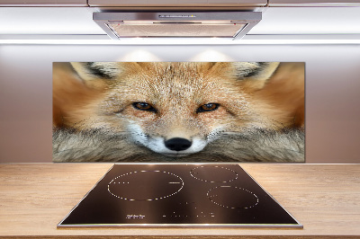 Küchen wandpaneel Fuchs
