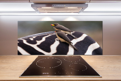 Glasrückwand für die küche Vögel und Zebras