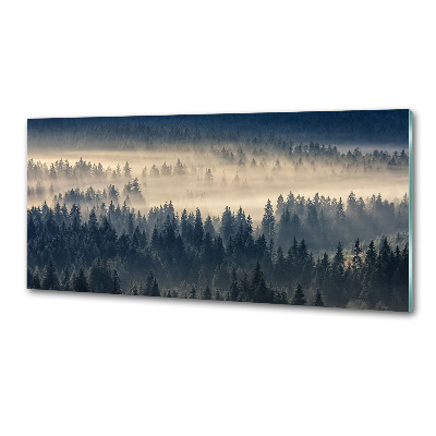 Küchen wandpaneel Nebel über dem Wald