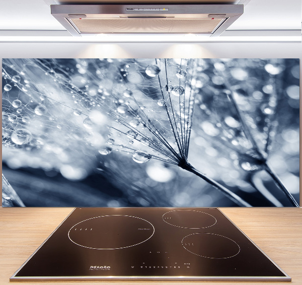 Platte für Küchenrückwand Löwenzahnsamen