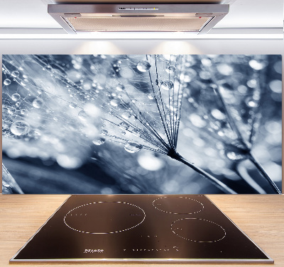 Platte für Küchenrückwand Löwenzahnsamen