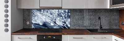 Platte für Küchenrückwand Löwenzahnsamen