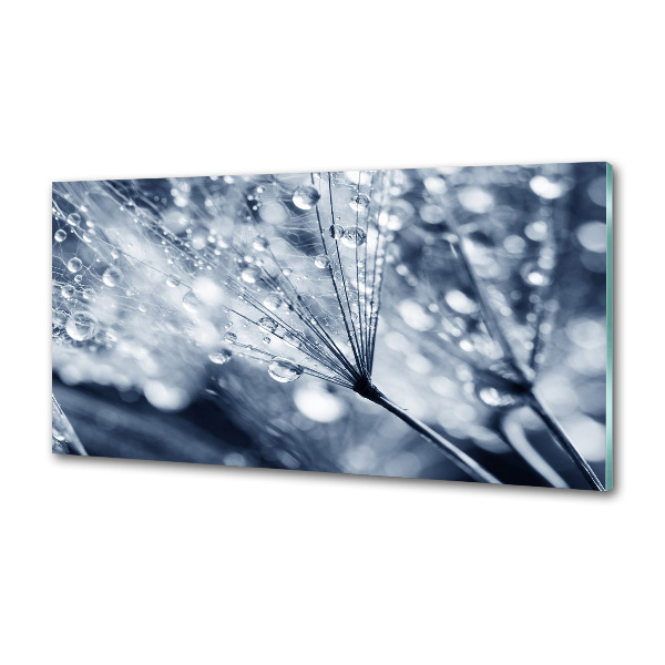 Platte für Küchenrückwand Löwenzahnsamen