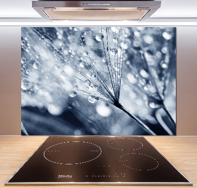 Platte für Küchenrückwand Löwenzahnsamen