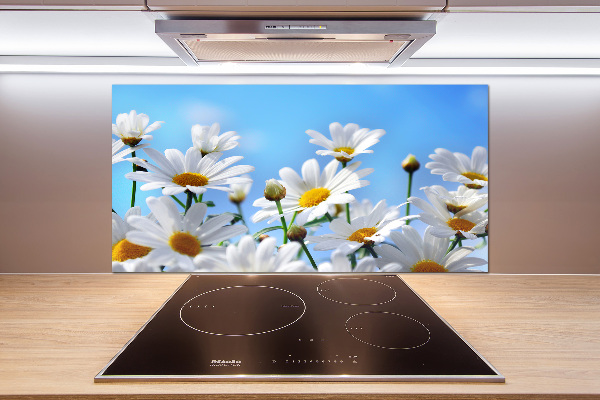 Küchen wandpaneel Gänseblümchen