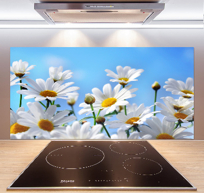 Küchen wandpaneel Gänseblümchen