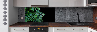 Glasrückwand für die küche Monstera