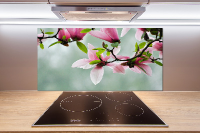 Platte für Küchenrückwand Magnolie