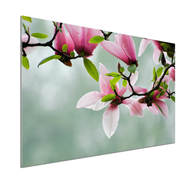 Platte für Küchenrückwand Magnolie