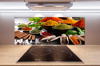 Küchen wandpaneel Bunte Gewürze