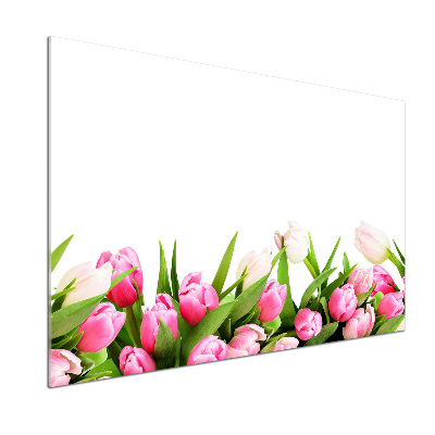 Glasrückwand für die küche Rosa Tulpen