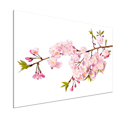 Platte für Küchenrückwand Dornen