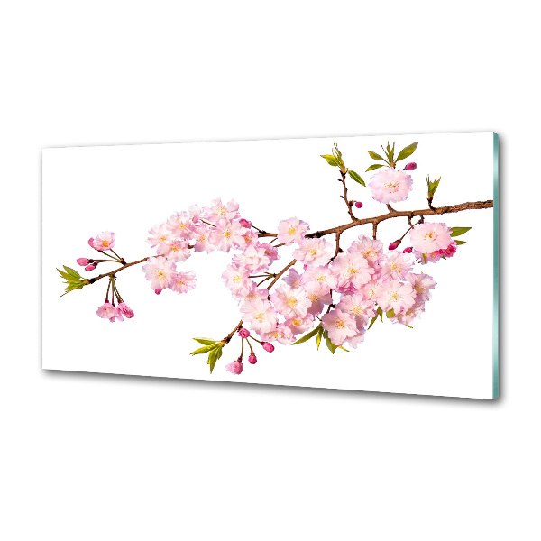 Platte für Küchenrückwand Dornen