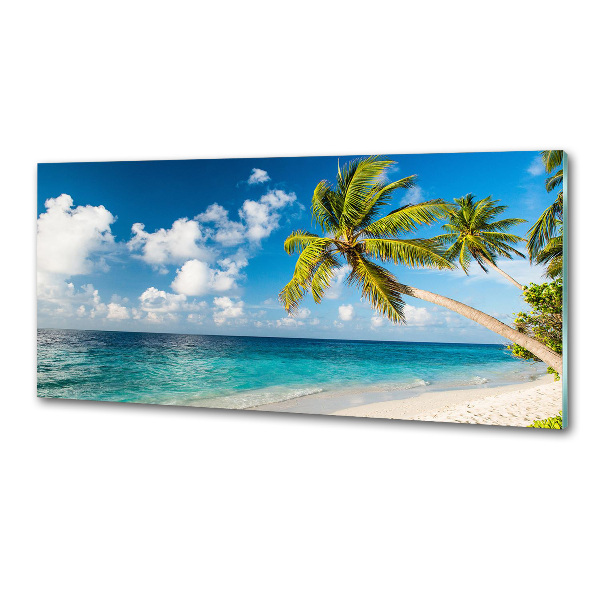 Glasrückwand für die küche Maledivenstrand