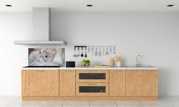 Glasrückwand für die küche Weißes Araberpferd