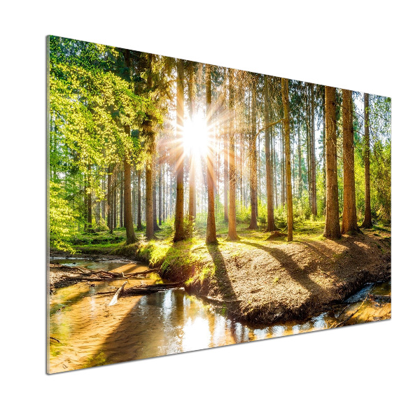 Platte für Küchenrückwand Panorama des Waldes